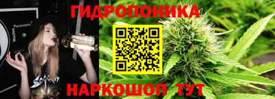 гидра Апрелевка