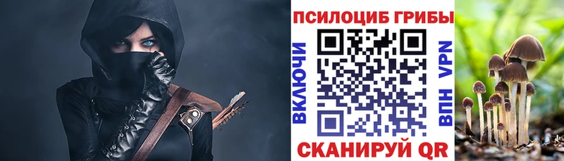 Галлюциногенные грибы Psilocybine cubensis  Ахтубинск 