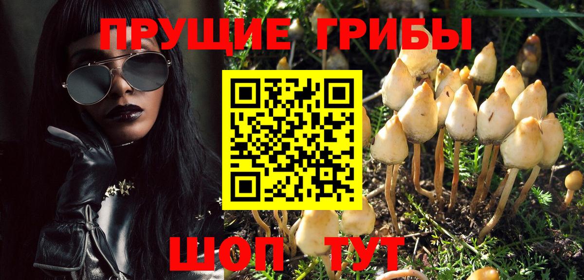 Псилоцибиновые грибы MAGIC MUSHROOMS Ахтубинск