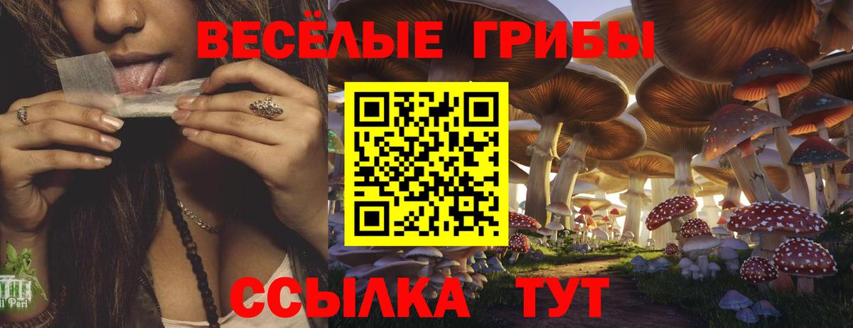 Ахтубинск  Галлюциногенные грибы Psilocybe  Галлюциногенные грибы мухоморы  Вход с VPN 