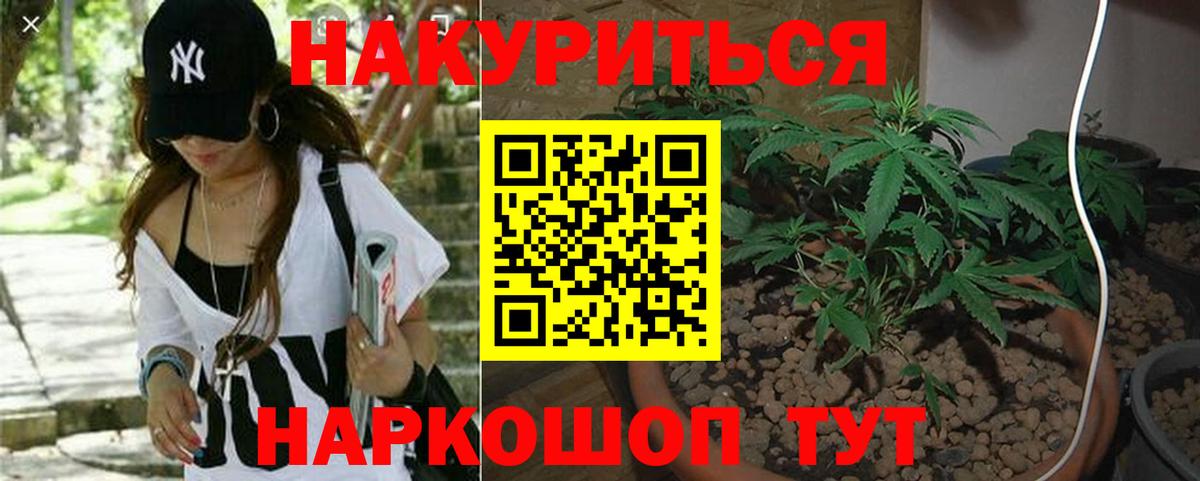 Ахтубинск  Бошки Шишки White Widow  Каннабис White Widow  МАРИХУАНА планчик  Вход с VPN 